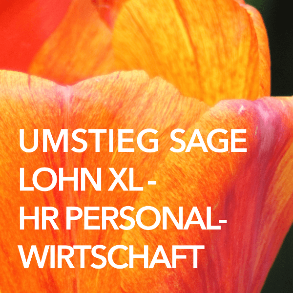 UmstiegMigrationSAGELohnXL-HRPersonalwirtschaft_ProduktbildBunt_1