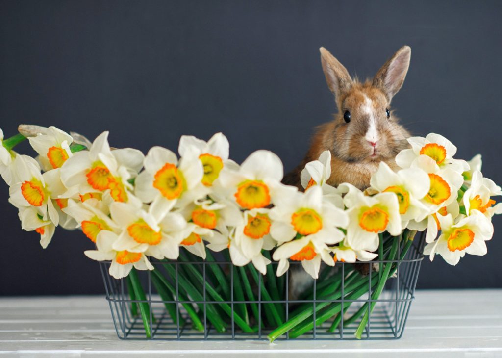 Frohe Ostern 2022