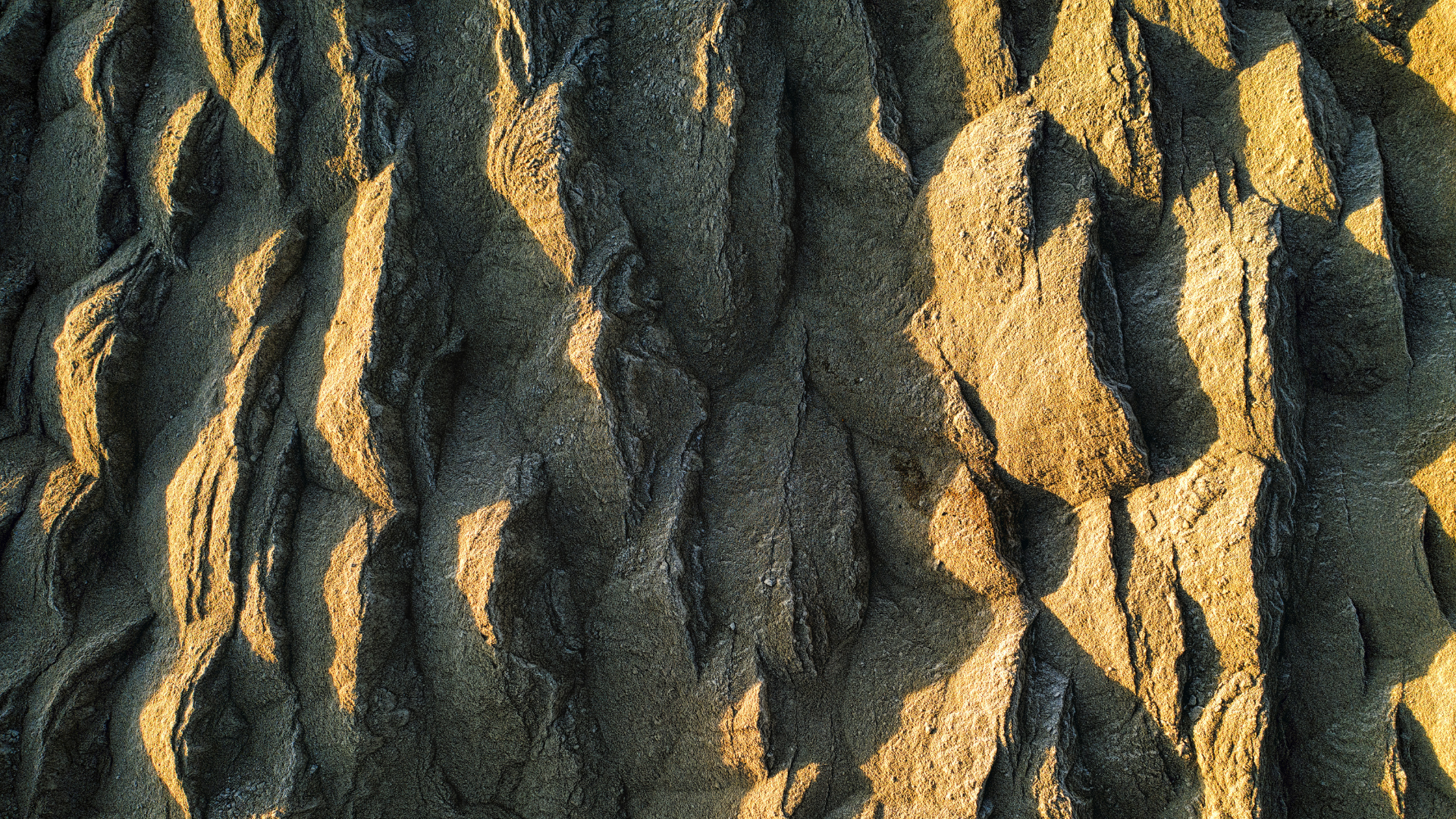 Audit Management SharePoint